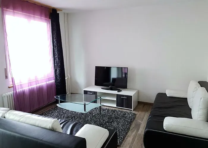 Family Friendly In The Heart Of Apartment *